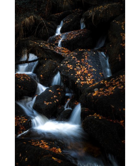 Cascade d'Augerolles, feuilles d'automne sur les rochers