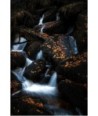 Cascade d'Augerolles, feuilles d'automne sur les rochers