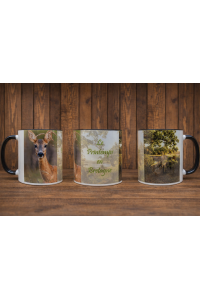 collection 2026 'les saisons en Bretagne"