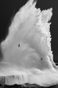 Tempête Ingrid Lomener 2026 | Vagues Morbihan – Sven Photo