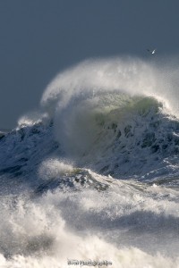 Tempêtes Joseph 02/2026