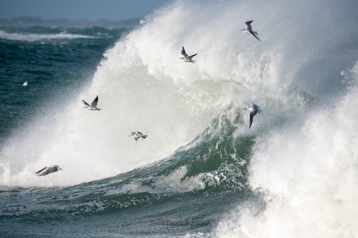 tempête celine octobre 2023