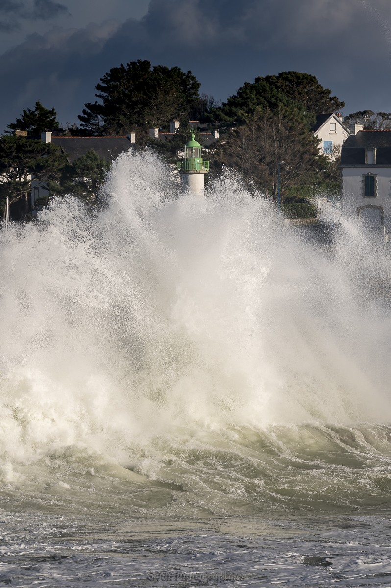 Tempêtes Eowyn 24/01/25