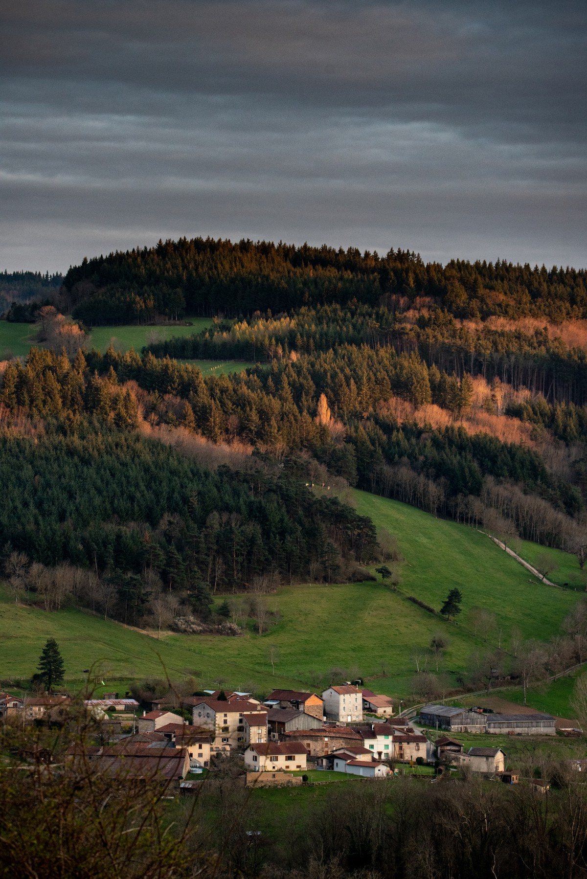 Auvergne