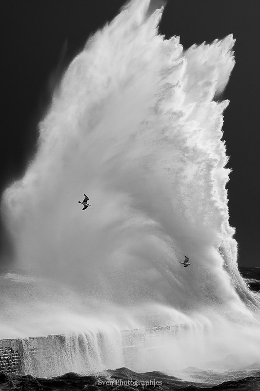 Tempêtes ingrid 01/2026