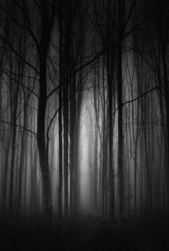 Noir et blanc